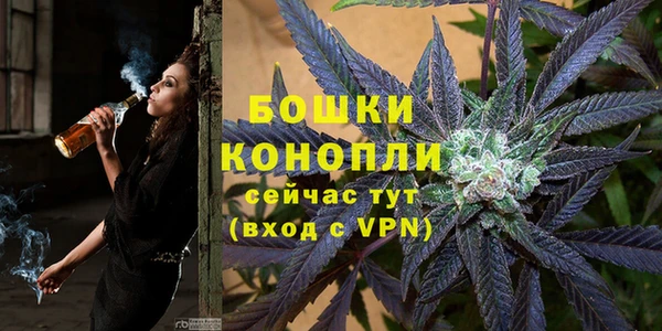 сатива Инта