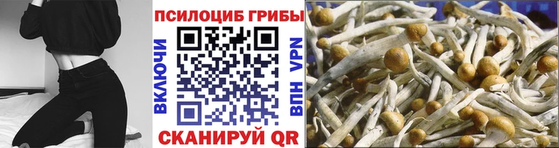 закладка  Уварово  blacksprut маркетплейс  Галлюциногенные грибы Cubensis 