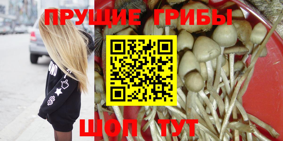 Псилоцибиновые грибы GOLDEN TEACHER  Вход с VPN  Уварово  Псилоцибиновые грибы Magic Shrooms 